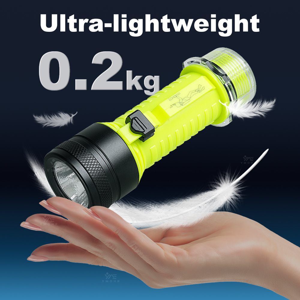 New Portable Professional LED  - Fishing Light recensie en prijs